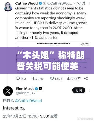“木头姐”称特朗普关税可能使美国陷入衰退：我们正处于风暴中心”