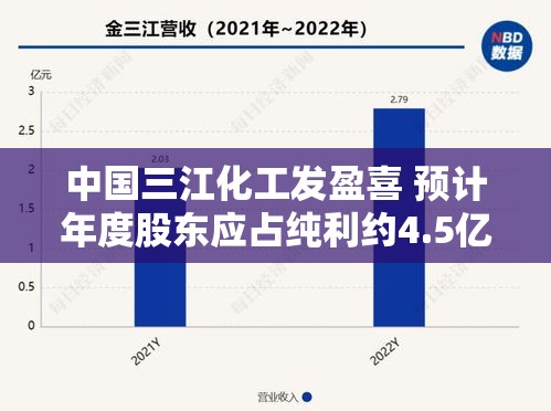 中国三江化工发盈喜 预计年度股东应占纯利约4.5亿至5.5亿元